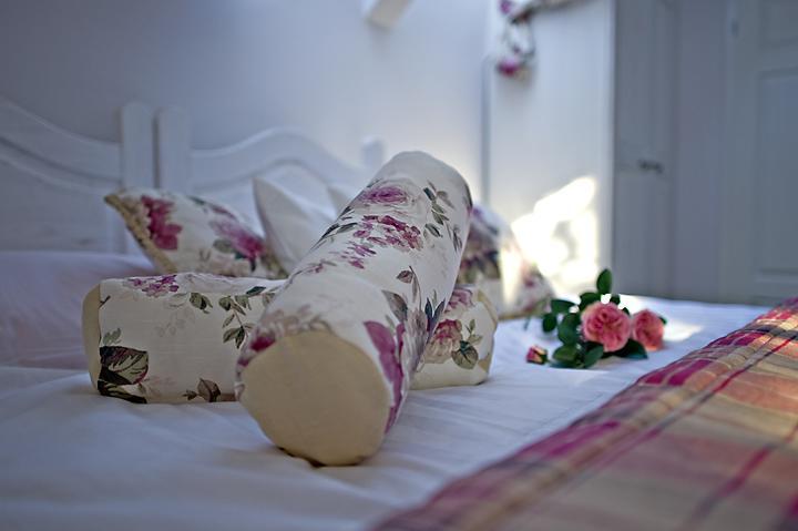 Modra Sikorka Villa Smardzewice Room photo